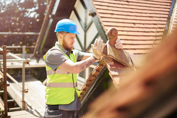 Best Flat Roof Repair Services  in Lake Panasoffkee, FL