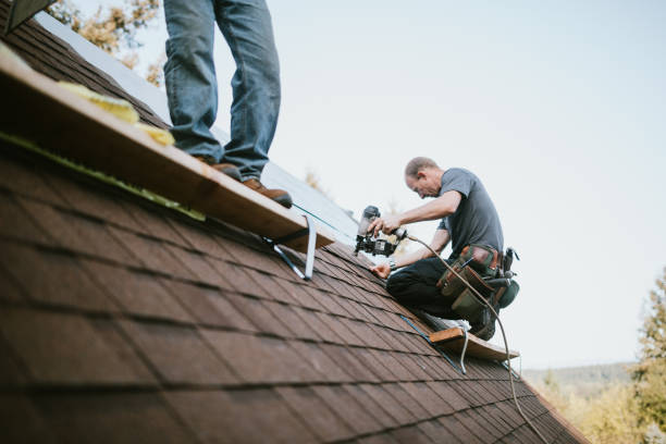 Best Roof Gutter Cleaning  in Lake Panasoffkee, FL