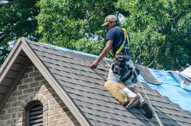 Roof Gutter Cleaning in Lake Panasoffkee, FL